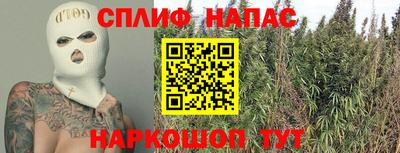 гашик Будённовск