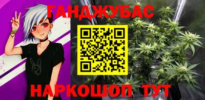 гашик Будённовск