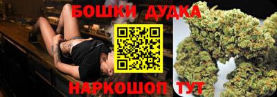 гашик Будённовск