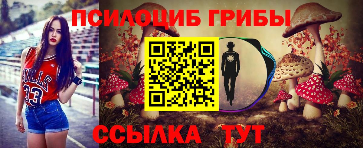 как найти закладки  Псилоцибиновые грибы прущие грибы  Вход с VPN  Псилоцибиновые грибы Magic Shrooms  Ревда 